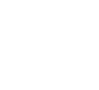 Aevum Vita logo