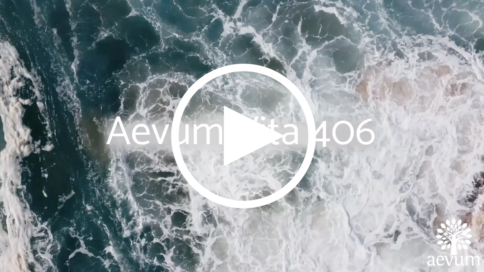 Aevum Vita 406